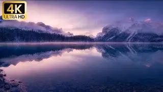 Звуки природы для расслабления, оздоровления и восстановления | 4K UHD | 2026