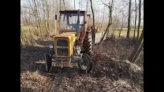 Wycinka suchych drzew na nieużytkach || Ursus C360 3P, Stihl MS230
