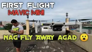 DJI Mavic Mini First flight | Signal Interference