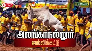 🔴LIVE: மிரட்டும் அலங்காநல்லூர் காளைகள் | Alanganalllur Jallikattu | #maduraijallikattu #puthuyugamtv
