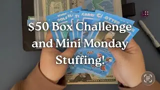 FIRST BOX CHALLENGE COMPLETED! $50 Box Challenge and Mini Monday!