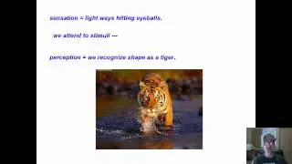 Neural Cognitive Learning - 2 perception