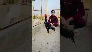 Best in Pakistan 🇵🇰