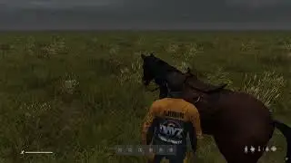 DAYZ CON CABALLOS - CASI COMO RED DEAD REDEMPTION !
