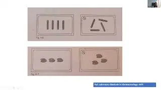 CDE - 75 Quality Control in Histopathology : Ensuring Accurate Results