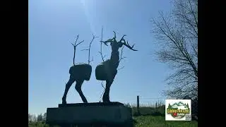 Stop at Adinkerke.