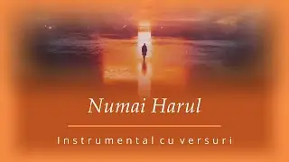 Numai Harul (În umblarea mea prin lume) - Negativ (Instrumental cu versuri)