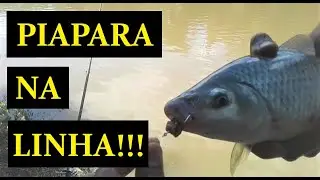 PESCARIA SURPREENDENTE!!! ISCA F&Aacute;CIL!!! MUITAS DICAS!!!