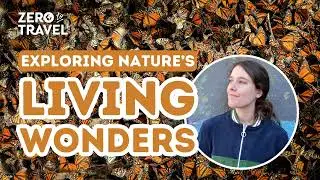 Curiosity, Creativity, and Exploring Nature&rsquo;s Living Wonders with Atlas Obscura Writer Cara Giaimo