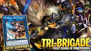 Deck Tri-Brigade Post Doom of Dimensions |MDPRO3| Replays 🎮 + Decklist ✔️