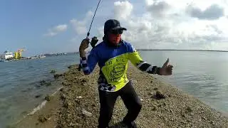 Lure ampuh buat mancing baby GT