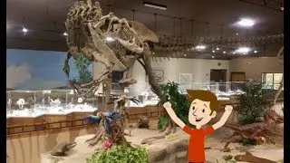 A Day at the Badlands Dinosaur Museum | Dickinson, ND
