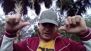 BRITISH BOXING explained:PRO, AMATUER, UNLICENSED, BARE-KNUCKLE, WHITE COLLAR, GYPSY, CASUALS BOXING