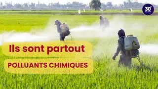 Pollutants: Are we all exposed? | 30 minutes health