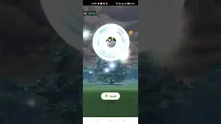 I got white flower flabebe