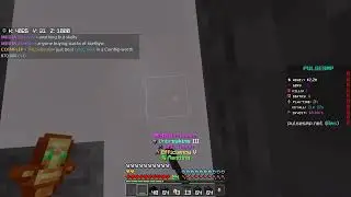 pulse smp  looking for team