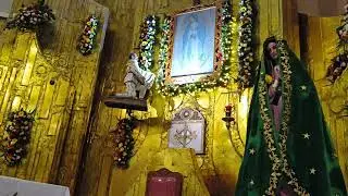Serenata a nuestra Madre del Tepeyac 🙏🏻#cantabria #guadalupana #fe 