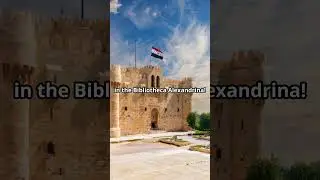 #2 Alexandria: Egypt&rsquo;s Jewel by the Mediterranean!