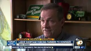 Labor shortage forcing San Diego-area farmers to downsize