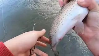 Trout with in first five minutes Little River Virginia