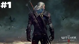 the The Witcher 3 : Wild Hunt Livestream India | Samar Nagi