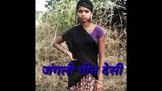 देसी गीत जंगली(3)