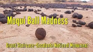 Moqui Ball Madness - Grand Staircase&ndash;Escalante National Monument