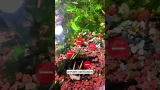 Вот что мне нравится в LAVA ROCK! 🥰