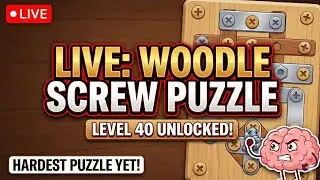 Can You Solve This? Level 40 Woodle Screw Puzzle 🧠