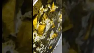 From my kitchen to your cravings 😋| palak paneer | paneer recipes | #palakpaneer #paneerrecipe #yum