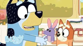 Papai Conhece Bob Bilby na Escola! 💜 💙 | Bluey Portugu&ecirc;s Brasil Canal Oficial