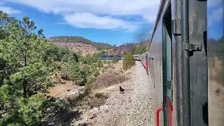 recorrido en el Chepe regional 🫶🏻🌲🤩🙏🏻