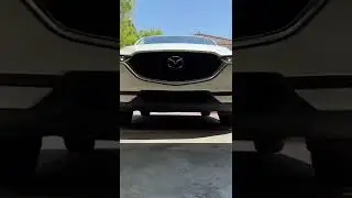 Corgi Has Road Rage! #karen #dogs
