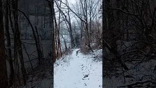 Winter Walk #hiking #snowflakes #winter #forest #shorts #Virginia #snow