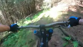 Lumps And Bumps - POV Mountain Biking Trail, Pitmedden Forest, Abernethy, Fife, Scotland