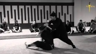 SFA Seminar Madrid (Jan '16)