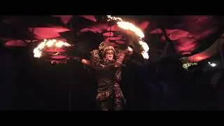 Djantrix at Flor Da Vida, Brazil 2022 [Official Aftermovie]