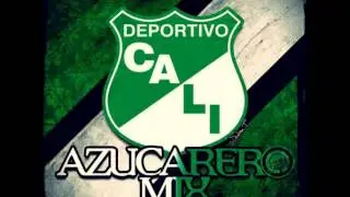cantos del cali mix DJ Animal