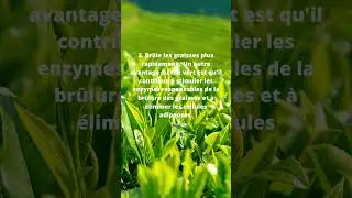 Th&eacute; vert pour maigrir #th&eacute;vert #pertedepoids  #bienetre  #youtubehealthy