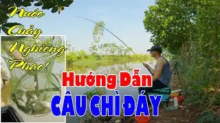Cách Câu Cá Sông Nước Chảy Hiệu Quả | Bài Mồi Câu Cá Sông Hiệu Quả, Đơn Giản, Tiết Kiệm