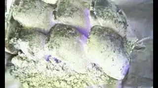 Smouldering Charcoal