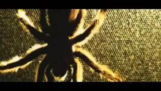 OUTRAGE   In Our Souls Fan Video 2010