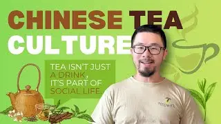 Chinese Tea Culture: 6 Major Types + Gongfu Etiquette &ndash; How to Drink Tea Like a Local
