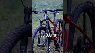 Cheapest  Bicycle in my Collection