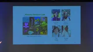 Epigenetics and subindividual variation in plants - Carlos M. Herrera - EpiDiverse Conference 2021