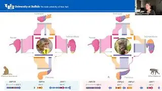 May 29, 2025 - Genomics 1