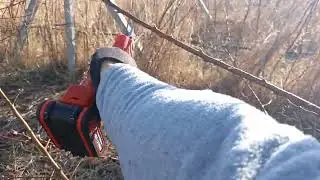 Peach tree pruning, Southland variety,  