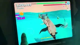 ￼I’am Playing Hungry Shark World Game Zombie SHARK #edit 🦈🧟‍♂️￼