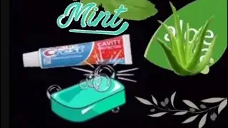How To Make Your Own Toothpaste And Soap At Home