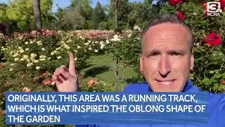 Explore Outdoors: Everything coming up roses around Sacramento 'running oval'